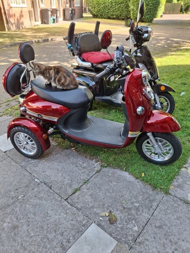 Green power mobility - green,