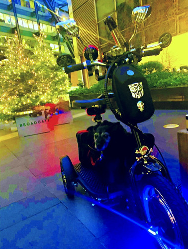 Veleco zt16 black - zt16,